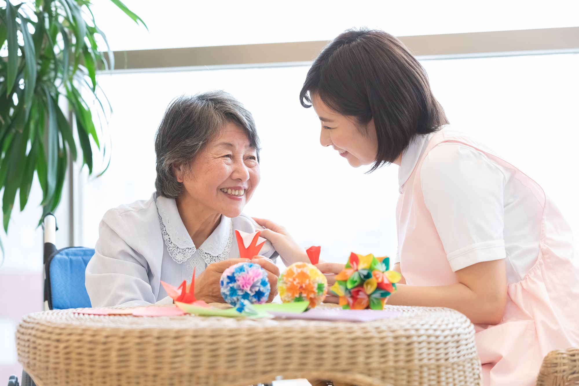 有限会社生陽会